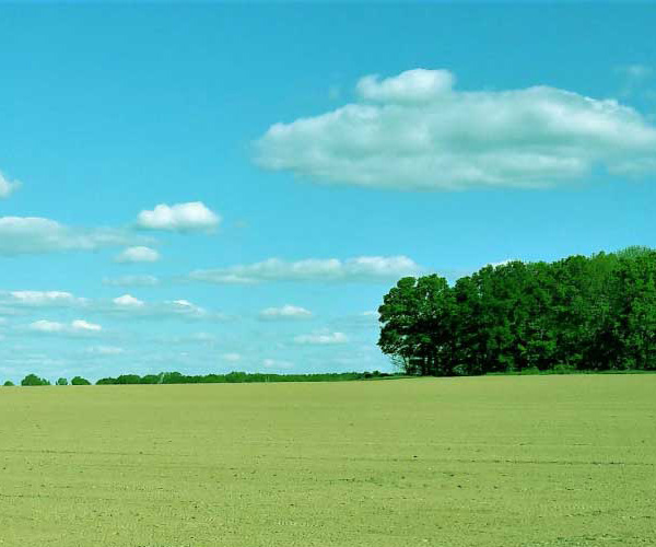Flächenplattform nachhaltige Landwirtschaft Brandenburg